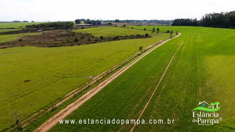 48 HA NO RS.00_02_34_11.Quadro011_f33cb311c32814231826c193daf2931ac2df3062.png